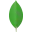 MongoDB